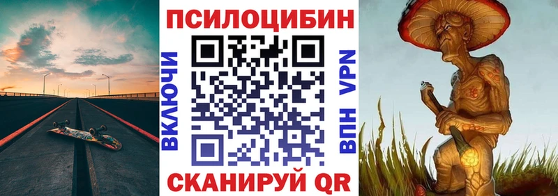 мега зеркало где найти наркотики Всеволожск Галлюциногенные грибы прущие грибы
