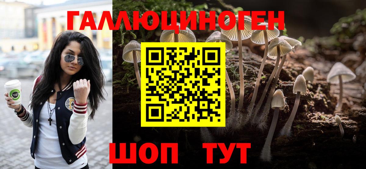 Всеволожск  Галлюциногенные грибы мухоморы  Вход с VPN 