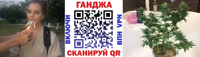 Конопля семена  цены   Всеволожск 